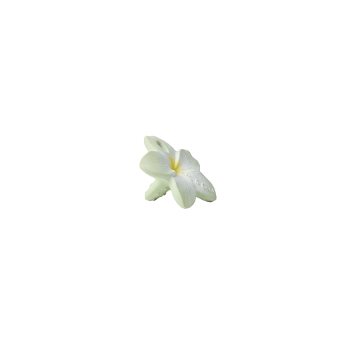 Bali the Flower