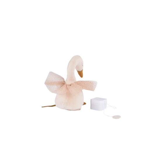 Cisne Musical