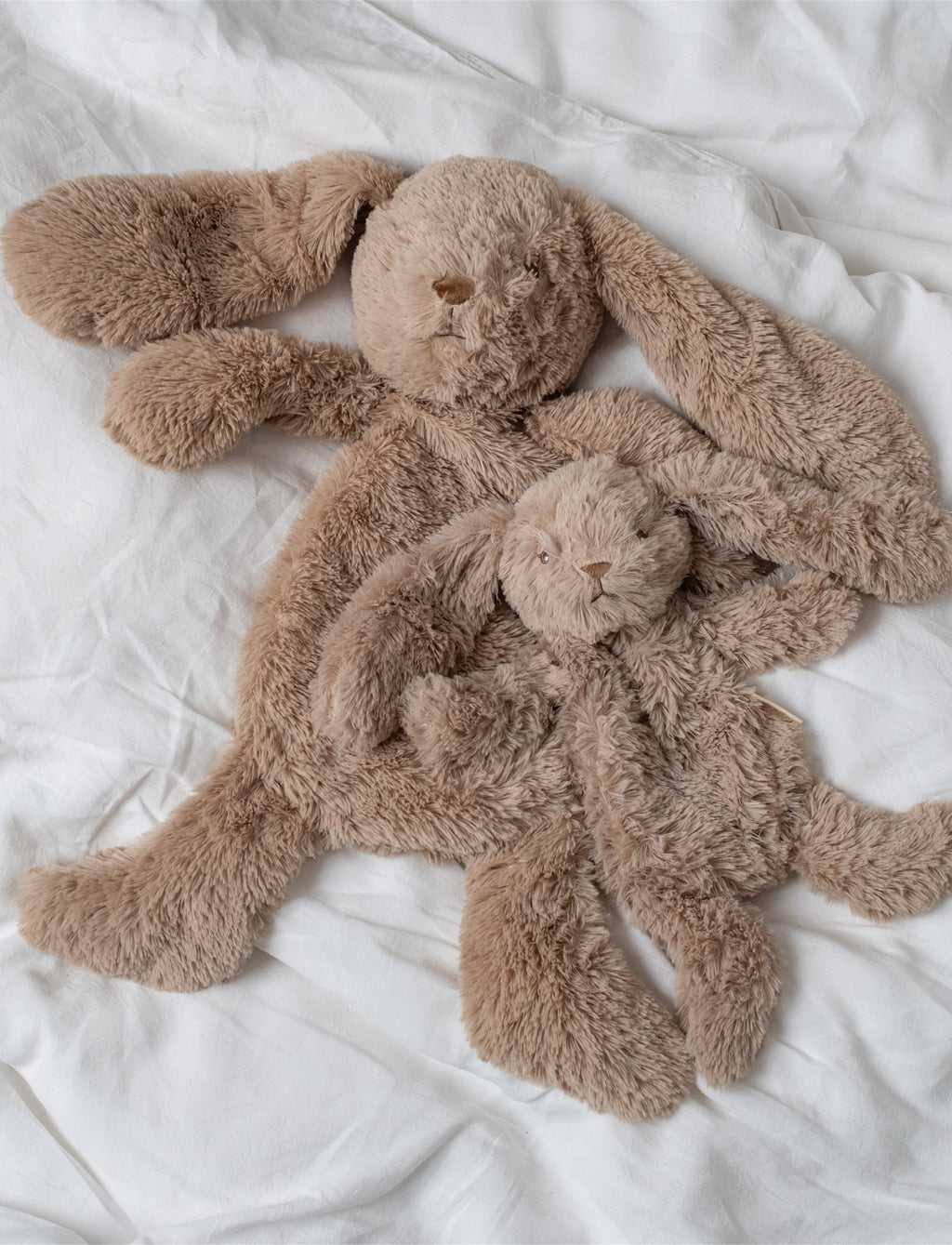 Houston Heavy Teddy Small - Bunny