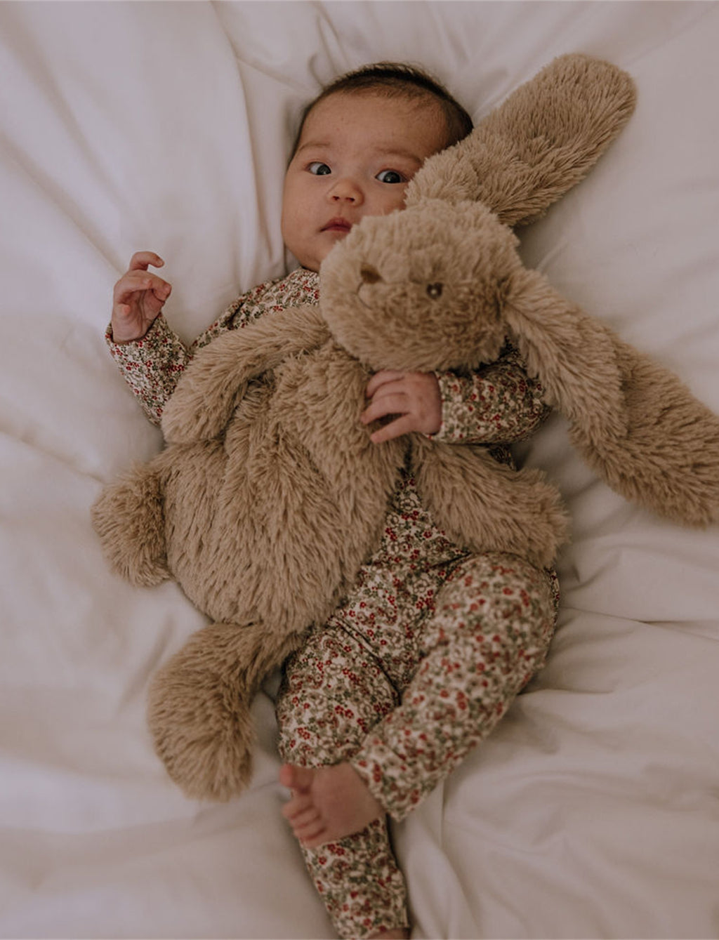 Houston Heavy Teddy Small - Bunny