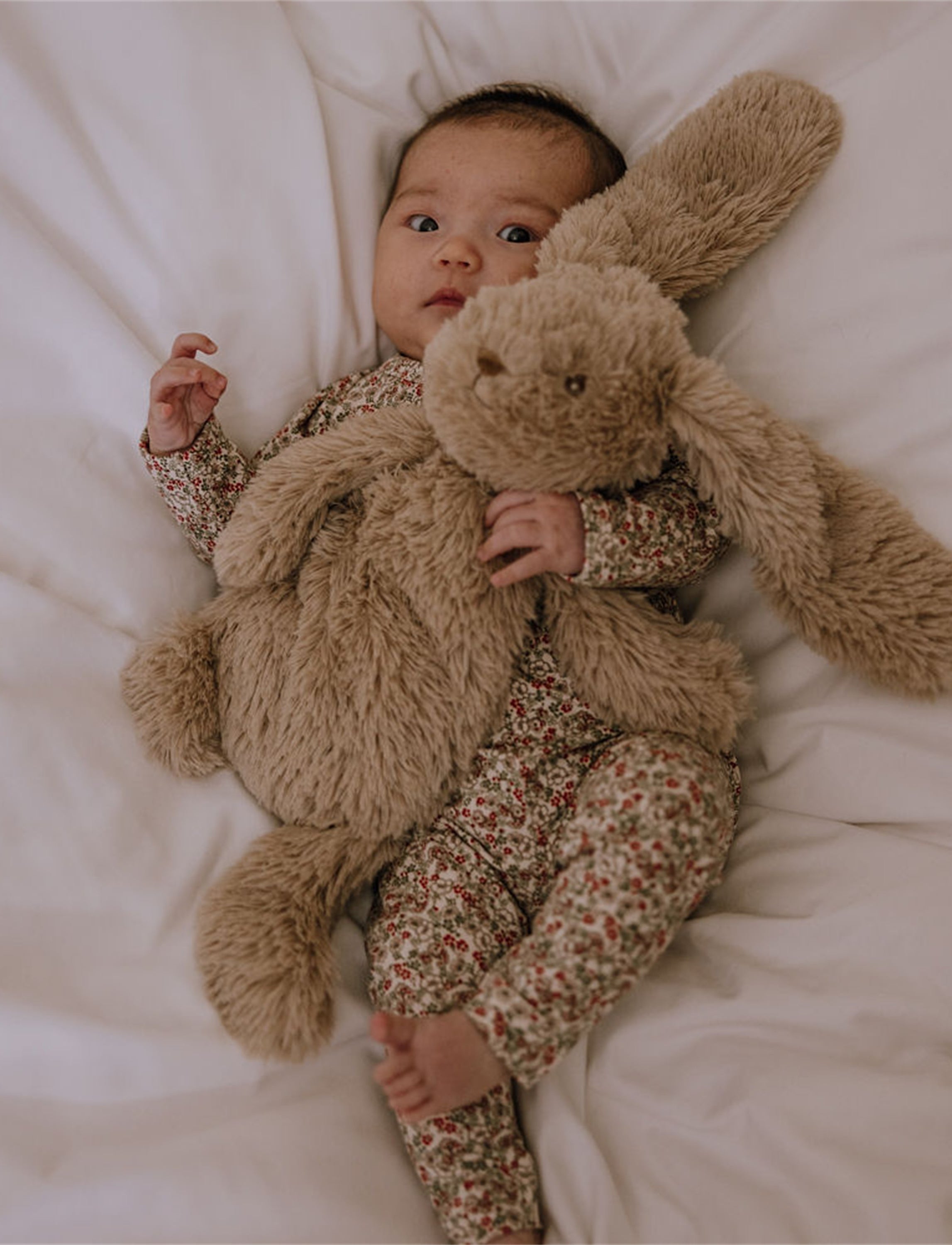 Houston Heavy Teddy Small - Bunny