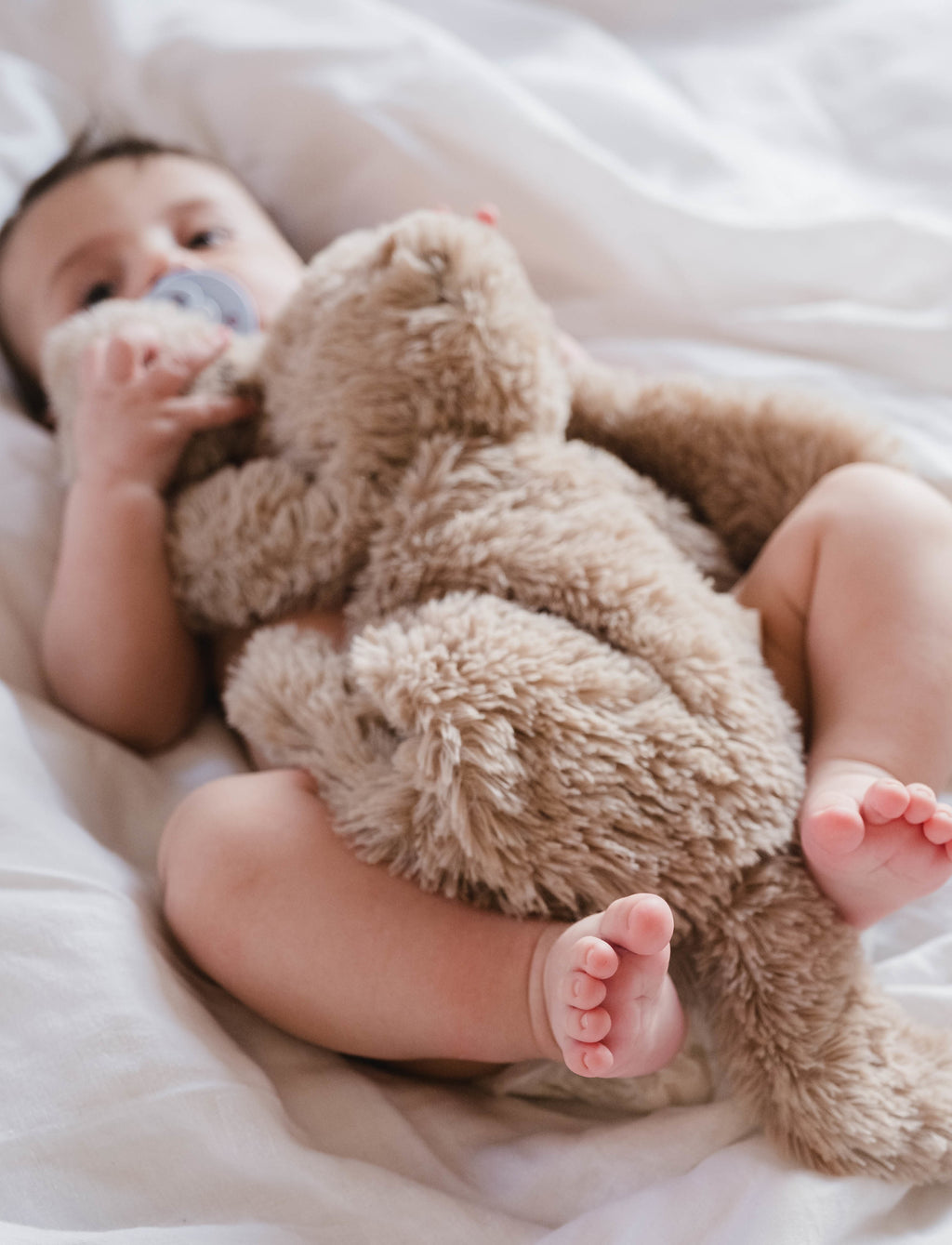 Houston Heavy Teddy Small - Bunny