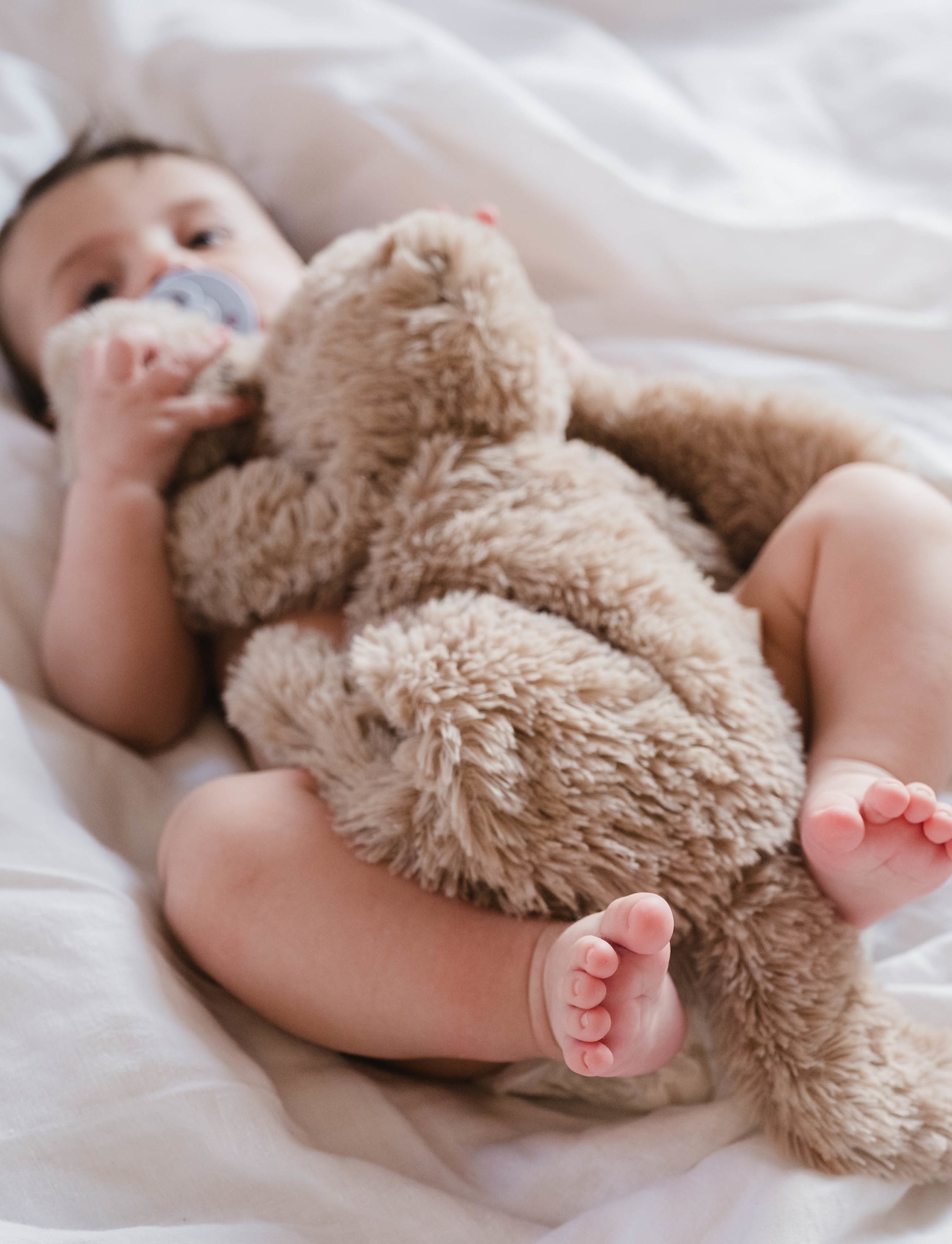 Houston Heavy Teddy Small - Bunny