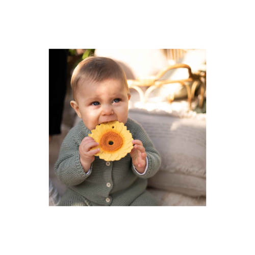 Sun the Sunflower