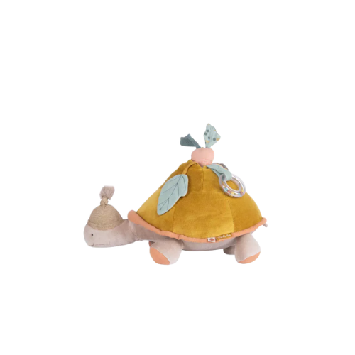Tortuga de actividades