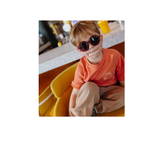 Lentes Chamy Plum